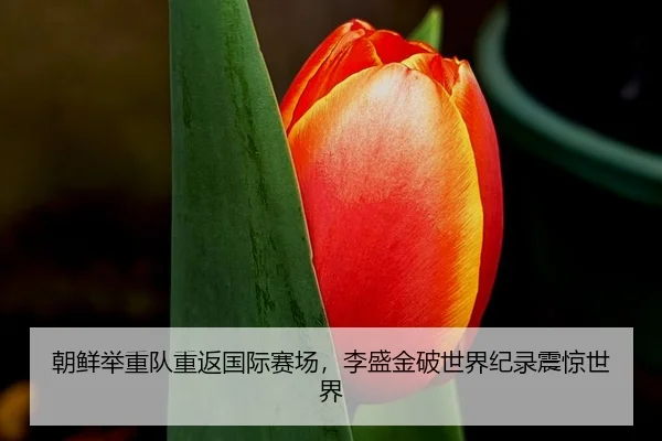 朝鲜举重队重返国际赛场，李盛金破世界纪录震惊世界